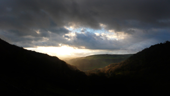 Photo of Andy Manning